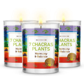 Magnificent 101 Set of 3 Long-Lasting 7 Chakras Plants Aromatherapy Candles | 10.5 Oz - 42-Hour Burn | 100% Soy Wax & Herbs | Ideal for Meditation, En