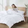 Anti-Microbial Down Alternative Comforter