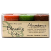 COVENTRY CREATIONS Blessing Kit - Abundance